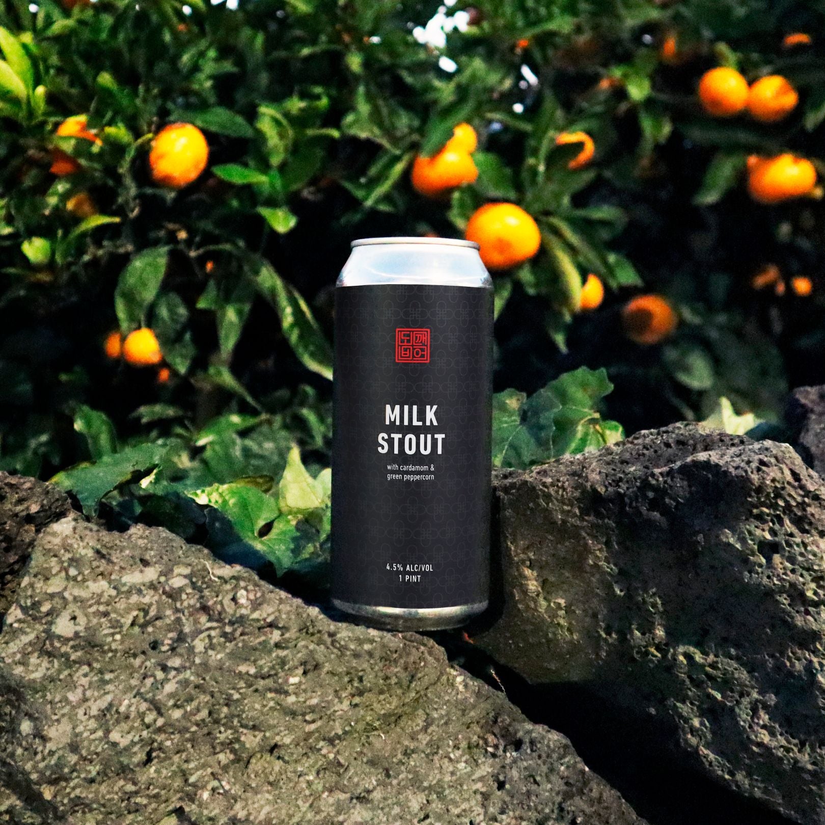 Craft Beer: Milk Stout (Peppercorn, Cardamom) | Dokkaebier Asian Beer