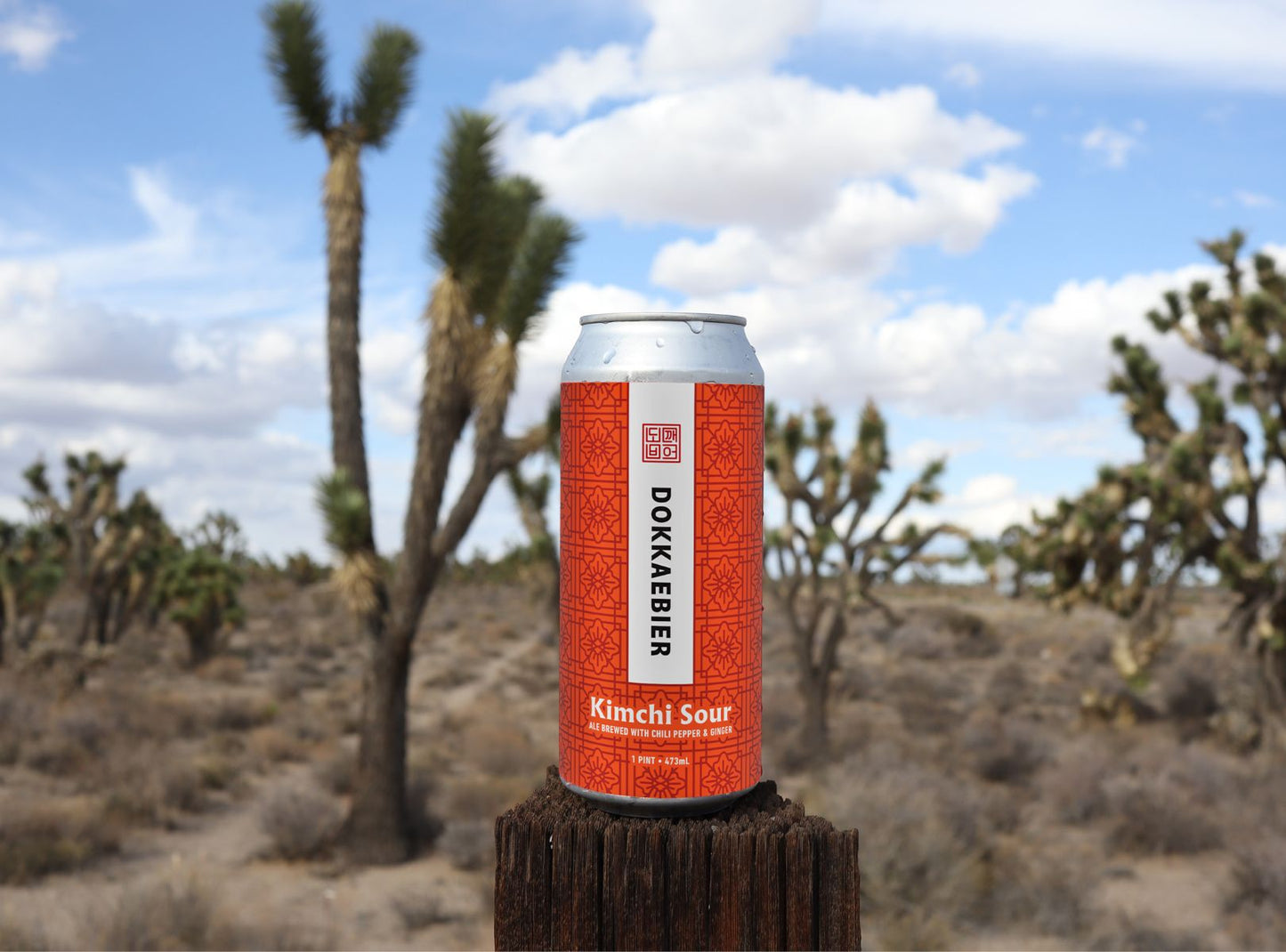DKB_Product_Kimchi_Sour