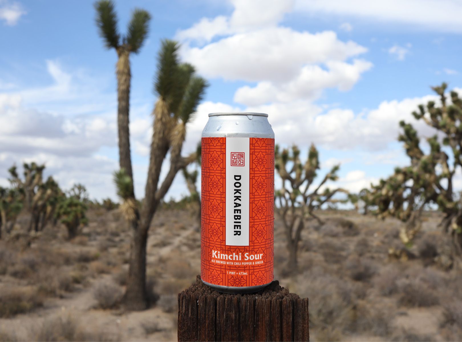 DKB_Product_Kimchi_Sour